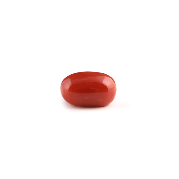 Red Coral - 6 Carat