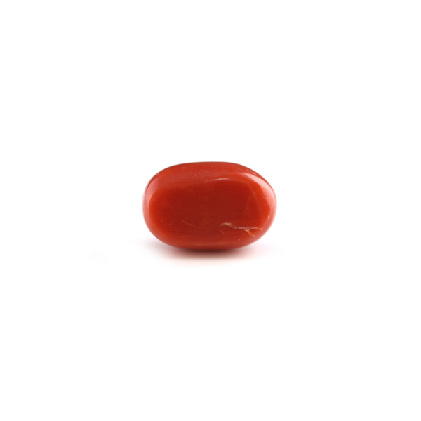 Red Coral - 6 Carat