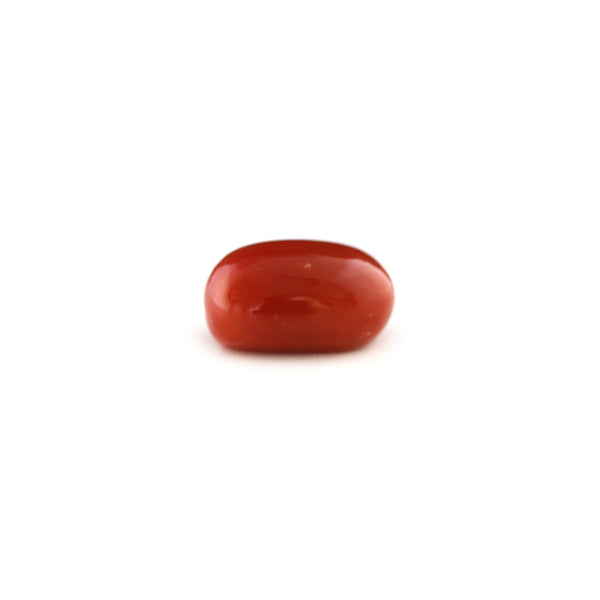 Red Coral - 6 Carat