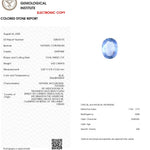 Blue Sapphire - 6.92 Carat