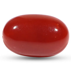 Japanese Moonga