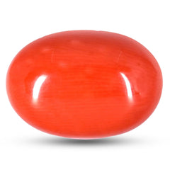 Red Coral <br> (Moonga)