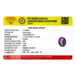 Amethyst - 4.87 Carat - Pramogh