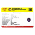 Amethyst - 6.94 Carat - Pramogh