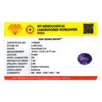 Amethyst - 12.3 Carat - Pramogh