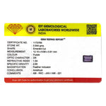 Amethyst - 4.72 Carat - Pramogh