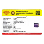 Amethyst - 8.86 Carat - Pramogh