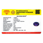 Amethyst - 13.75 Carat - Pramogh