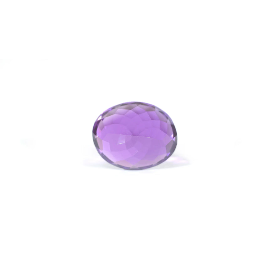 Amethyst - 13.7 Carat - Pramogh