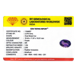 Amethyst - 11.85 Carat - Pramogh