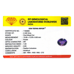 Amethyst - 11.7 Carat - Pramogh