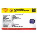 Amethyst - 7.55 Carat - Pramogh