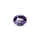 Amethyst - 10.95 Carat - Pramogh