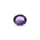 Amethyst - 5.3 Carat - Pramogh