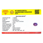 Amethyst - 13.5 Carat - Pramogh
