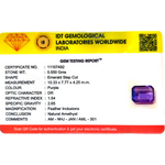Amethyst - 2.75 Carat