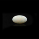 Australian Opal - 6.5 Carat - Pramogh