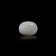 Australian Opal - 8.1 Carat - Pramogh