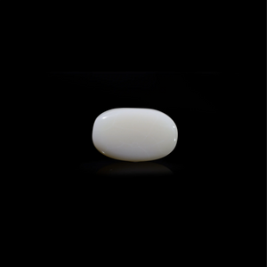 Australian Opal - 11.35 Carat - Pramogh
