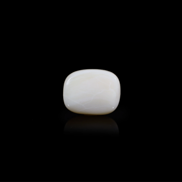 Australian Opal - 13.25 Carat - Pramogh