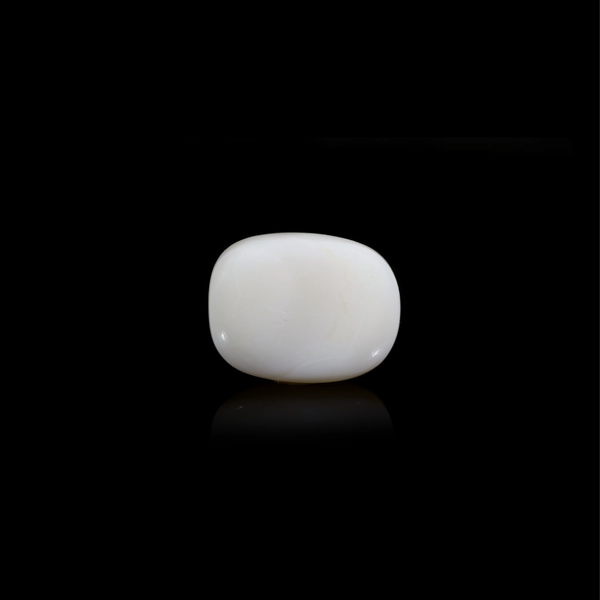 Australian Opal - 11.9 Carat - Pramogh