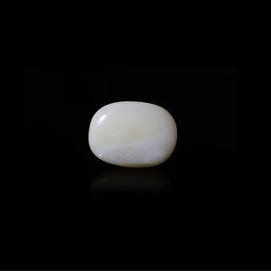 Australian Opal - 16.85 Carat - Pramogh
