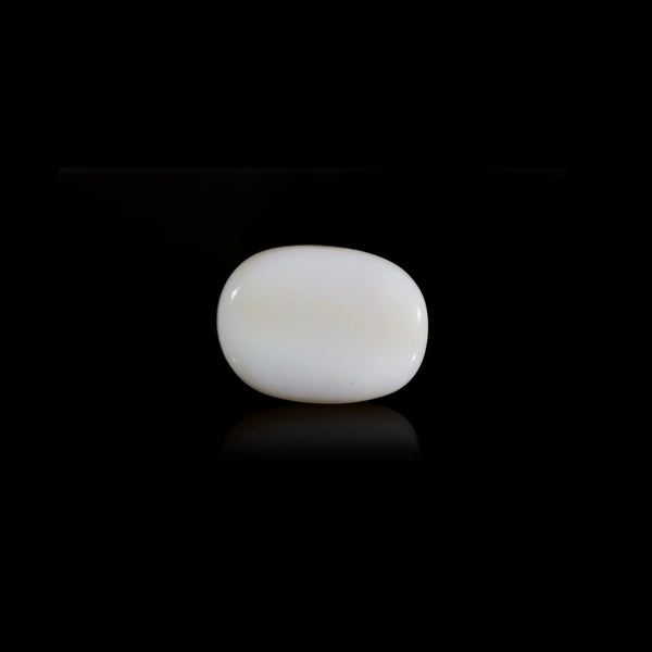 Opal - 16.85 Carat