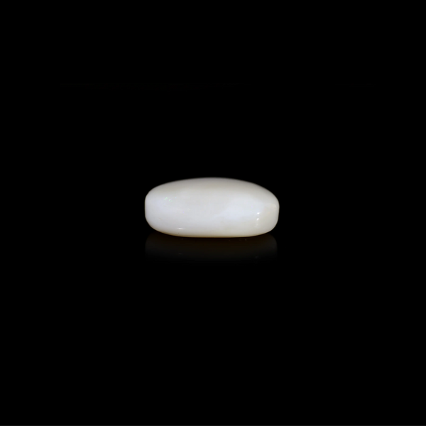 Opal - 16.85 Carat