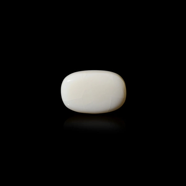 Australian Opal - 10.7 Carat - Pramogh