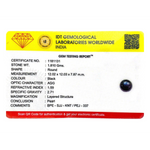 Black Pearl (Tahiti) - 9.05 Carat - Pramogh
