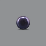 Black Pearl (Tahiti) - 9.35 Carat - Pramogh