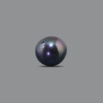Black Pearl (Tahiti) - 10.1 Carat - Pramogh
