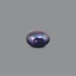Black Pearl (Tahiti) - 7.55 Carat - Pramogh