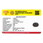 Blood Stone - 9.2 Carat - Pramogh