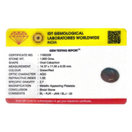 Blood Stone - 9 Carat - Pramogh
