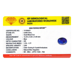 Blue Sapphire - 4.95 Carat