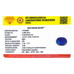 Blue Sapphire - 9.9 Carat
