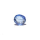 Blue Sapphire - 3.35 Carat - Pramogh
