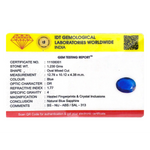 Blue Sapphire - 6.15 Carat