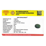 Emerald - 9 Carat - Pramogh