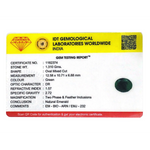 Emerald - 6.55 Carat - Pramogh