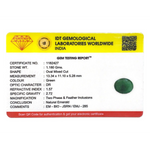 Emerald - 5.9 Carat - Pramogh