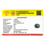 Emerald - 4.2 Carat - Pramogh