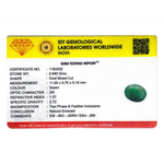 Emerald - 4.2 Carat - Pramogh