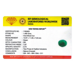 Emerald - 7.4 Carat - Pramogh