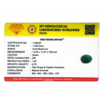 Emerald - 7.65 Carat - Pramogh