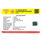 Emerald - 6.8 Carat - Pramogh