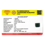 Emerald - 9.3 Carat - Pramogh