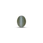 Catseye Chrysoberyl - 3.9 Carat - Pramogh