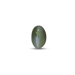 Catseye Chrysoberyl - 5.4 Carat - Pramogh